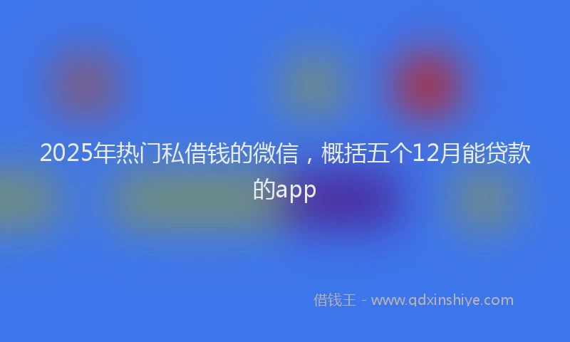 2025年热门私借钱的微信，概括五个12月能贷款的app