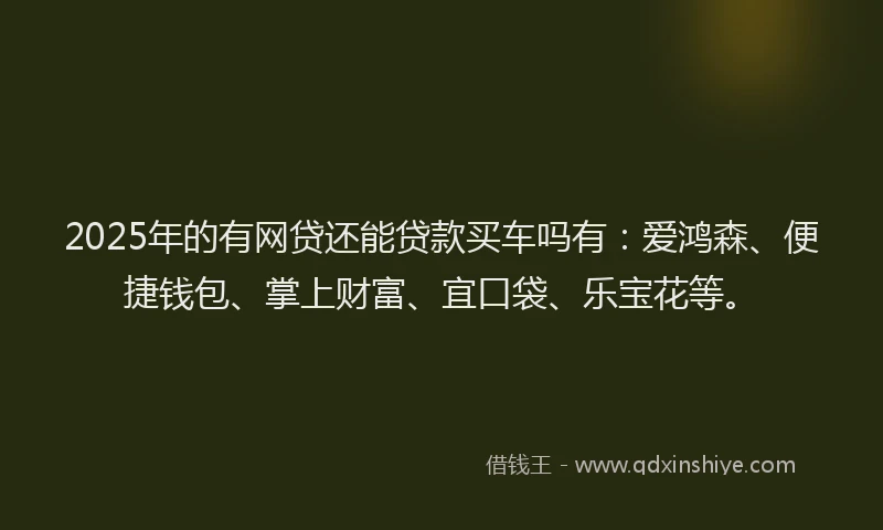 2025年的有网贷还能贷款买车吗有：爱鸿森、便捷钱包、掌上财富、宜口袋、乐宝花等。