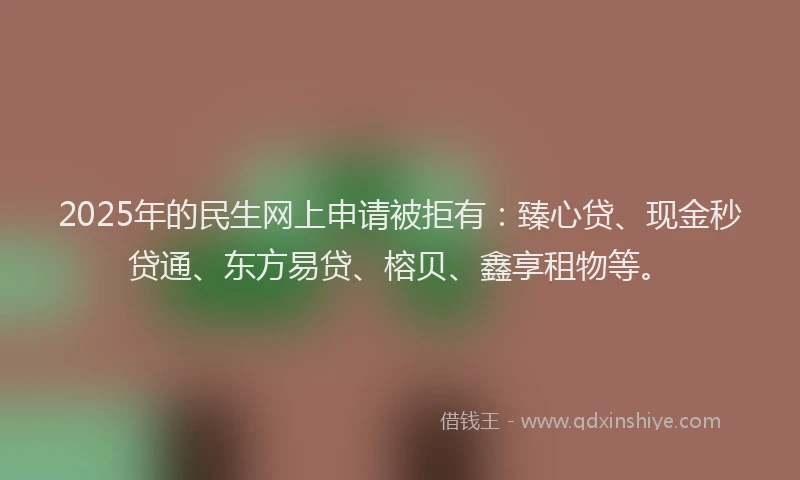 2025年的民生网上申请被拒有：臻心贷、现金秒贷通、东方易贷、榕贝、鑫享租物等。