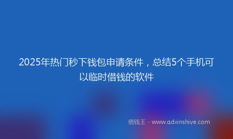 2025年热门秒下钱包申请条件，总结5个手机可以临时借钱的软件