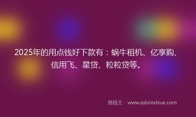 2025年的用点钱好下款有：蜗牛租机、亿享购、信用飞、星贷、粒粒贷等。