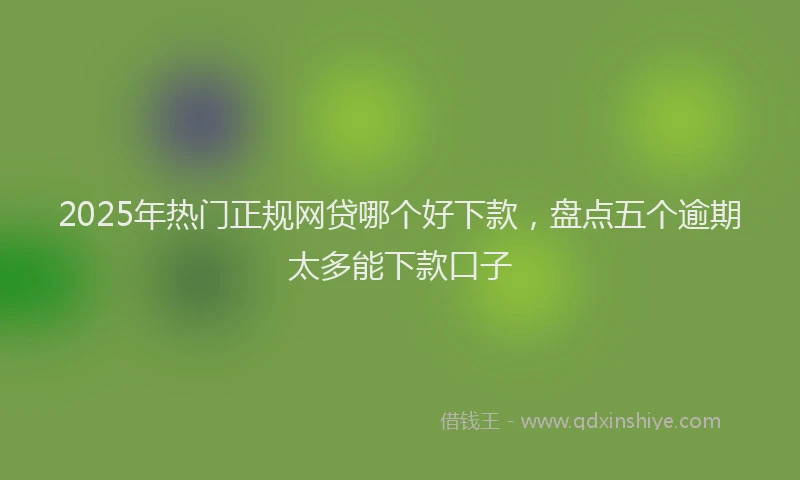 2025年热门正规网贷哪个好下款，盘点五个逾期太多能下款口子