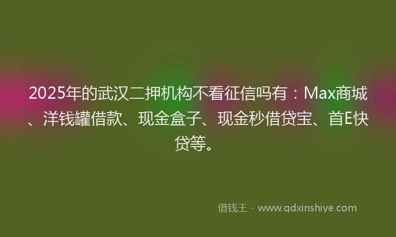2025年的武汉二押机构不看征信吗有：Max商城、洋钱罐借款、现金盒子、现金秒借贷宝、首E快贷等。
