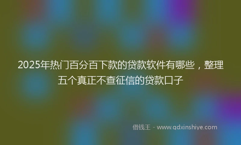 2025年热门百分百下款的贷款软件有哪些，整理五个真正不查征信的贷款口子