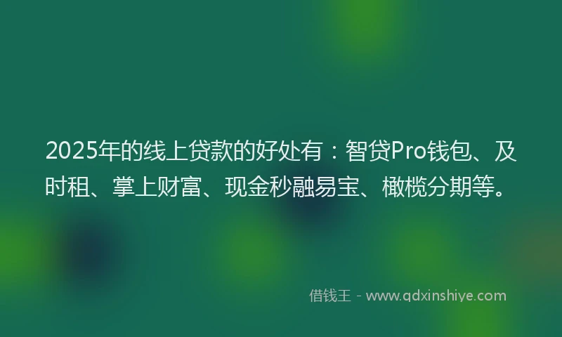 2025年的线上贷款的好处有：智贷Pro钱包、及时租、掌上财富、现金秒融易宝、橄榄分期等。