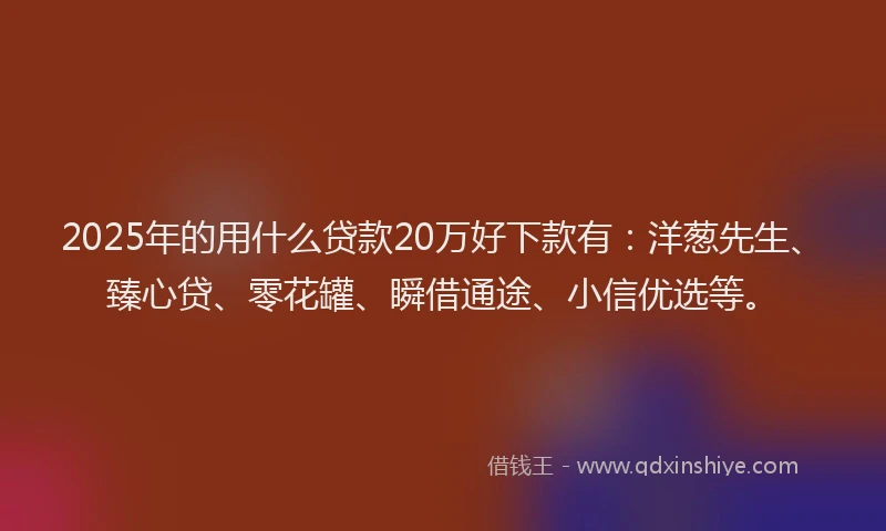 2025年的用什么贷款20万好下款有：洋葱先生、臻心贷、零花罐、瞬借通途、小信优选等。