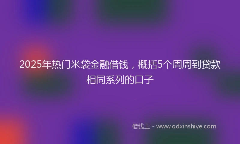 2025年热门米袋金融借钱，概括5个周周到贷款相同系列的口子