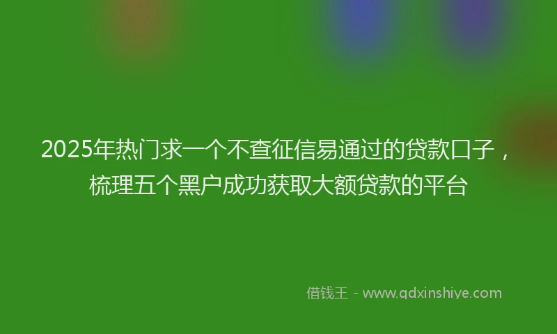 2025年热门求一个不查征信易通过的贷款口子，梳理五个黑户成功获取大额贷款的平台