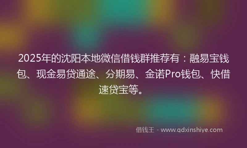 2025年的沈阳本地微信借钱群推荐有：融易宝钱包、现金易贷通途、分期易、金诺Pro钱包、快借速贷宝等。