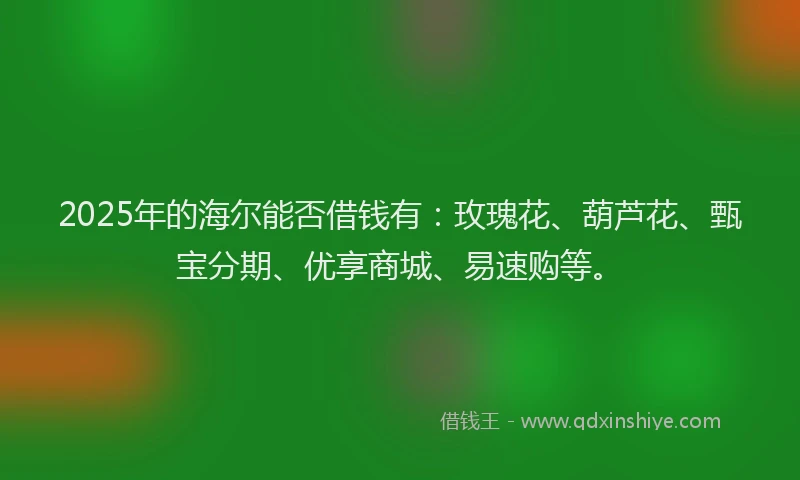 2025年的海尔能否借钱有：玫瑰花、葫芦花、甄宝分期、优享商城、易速购等。