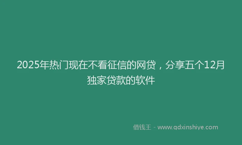 2025年热门现在不看征信的网贷，分享五个12月独家贷款的软件