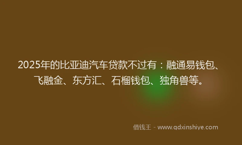 2025年的比亚迪汽车贷款不过有：融通易钱包、飞融金、东方汇、石榴钱包、独角兽等。