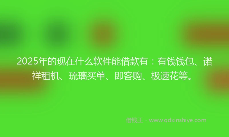 2025年的现在什么软件能借款有：有钱钱包、诺祥租机、琉璃买单、即客购、极速花等。
