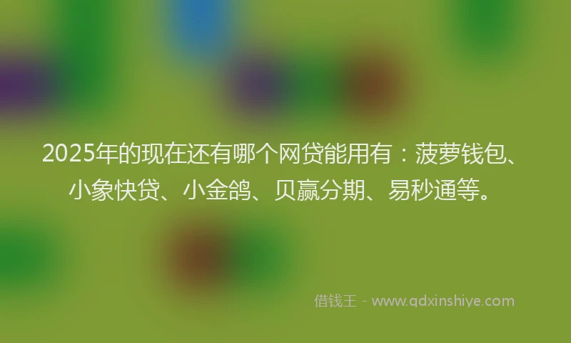 2025年的现在还有哪个网贷能用有：菠萝钱包、小象快贷、小金鸽、贝赢分期、易秒通等。