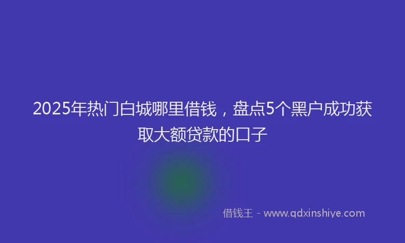 2025年热门白城哪里借钱，盘点5个黑户成功获取大额贷款的口子