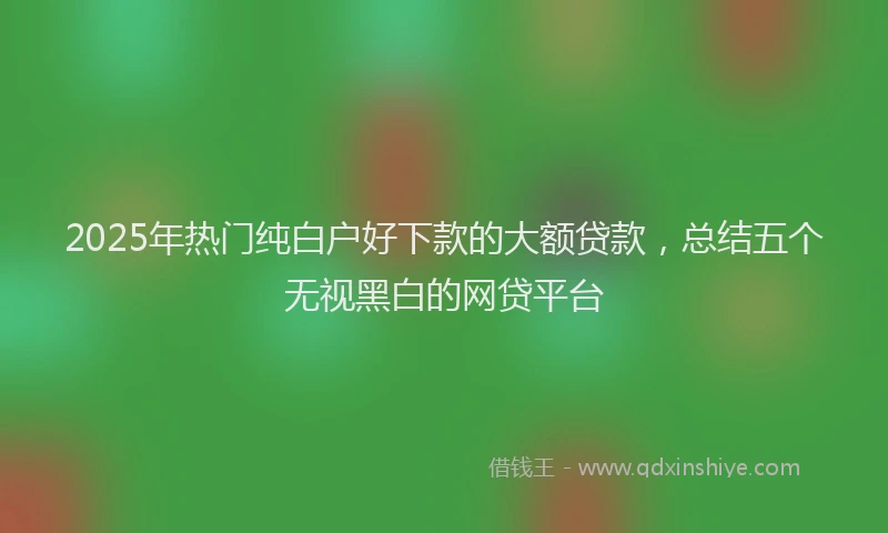 2025年热门纯白户好下款的大额贷款，总结五个无视黑白的网贷平台