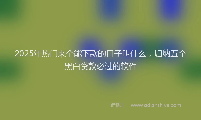 2025年热门来个能下款的口子叫什么，归纳五个黑白贷款必过的软件
