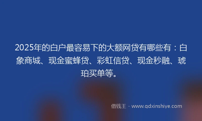 2025年的白户最容易下的大额网贷有哪些有：白象商城、现金蜜蜂贷、彩虹信贷、现金秒融、琥珀买单等。