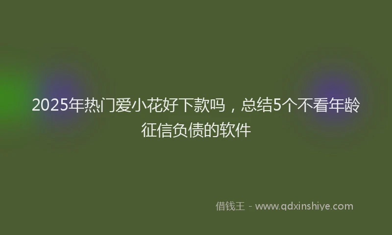 2025年热门爱小花好下款吗，总结5个不看年龄征信负债的软件