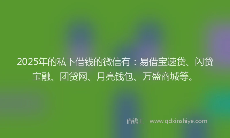 2025年的私下借钱的微信有：易借宝速贷、闪贷宝融、团贷网、月亮钱包、万盛商城等。