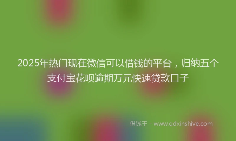 2025年热门现在微信可以借钱的平台，归纳五个支付宝花呗逾期万元快速贷款口子