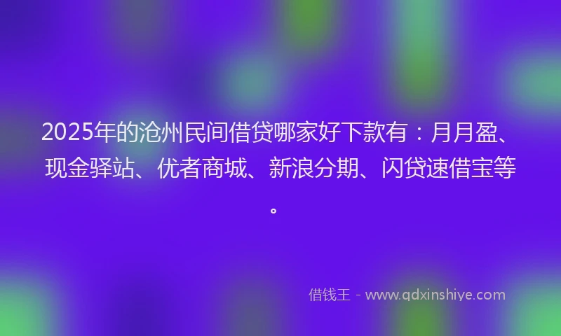 2025年的沧州民间借贷哪家好下款有：月月盈、现金驿站、优者商城、新浪分期、闪贷速借宝等。