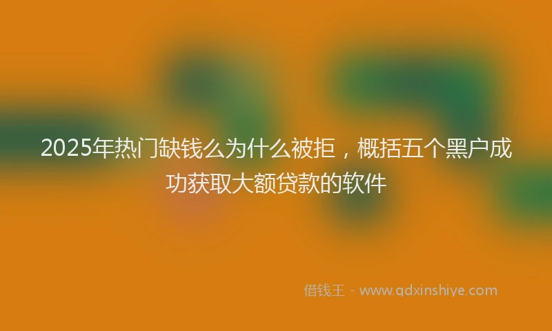 2025年热门缺钱么为什么被拒，概括五个黑户成功获取大额贷款的软件