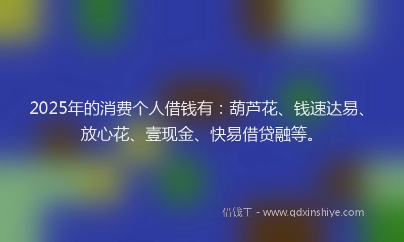 2025年的消费个人借钱有：葫芦花、钱速达易、放心花、壹现金、快易借贷融等。