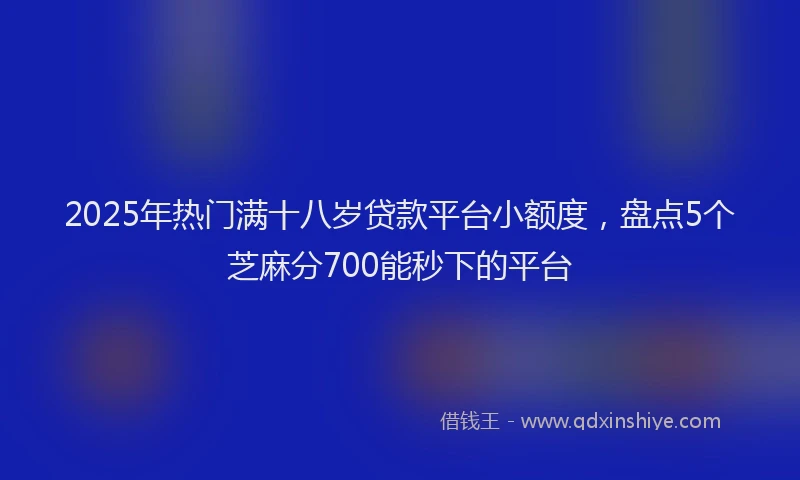 2025年热门满十八岁贷款平台小额度，盘点5个芝麻分700能秒下的平台