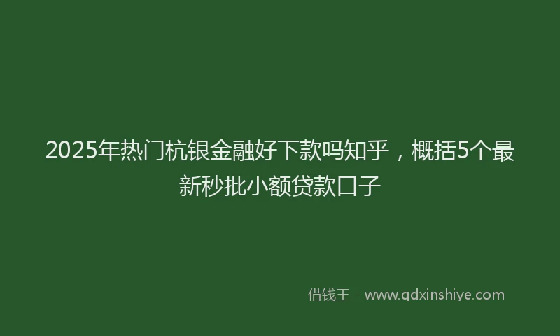 2025年热门杭银金融好下款吗知乎，概括5个最新秒批小额贷款口子