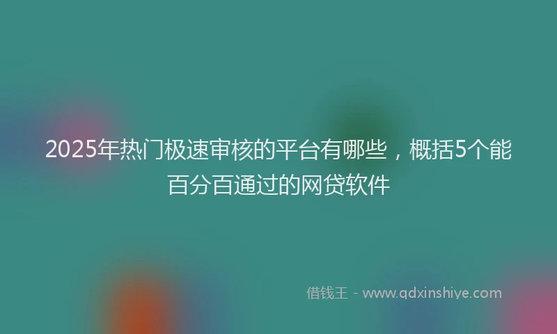 2025年热门极速审核的平台有哪些，概括5个能百分百通过的网贷软件