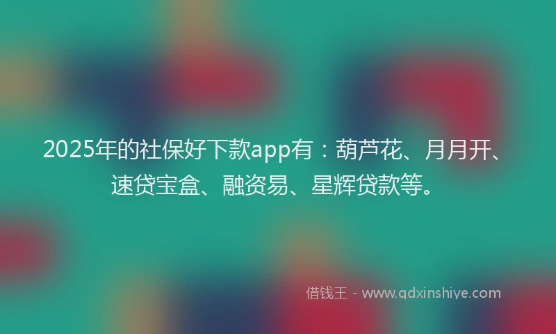 2025年的社保好下款app有：葫芦花、月月开、速贷宝盒、融资易、星辉贷款等。