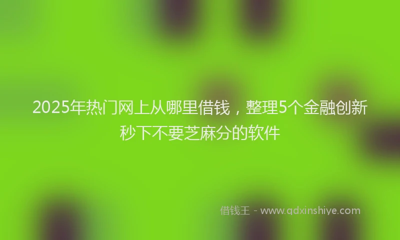 2025年热门网上从哪里借钱，整理5个金融创新秒下不要芝麻分的软件