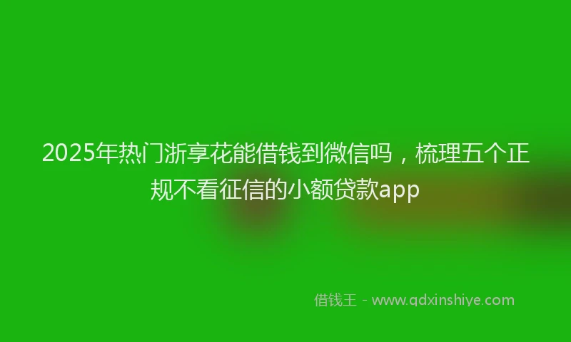2025年热门浙享花能借钱到微信吗，梳理五个正规不看征信的小额贷款app