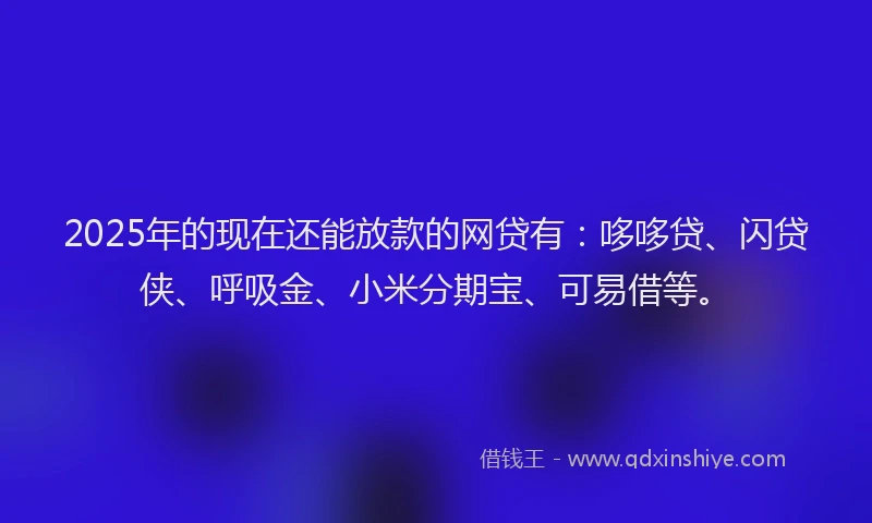 2025年的现在还能放款的网贷有：哆哆贷、闪贷侠、呼吸金、小米分期宝、可易借等。