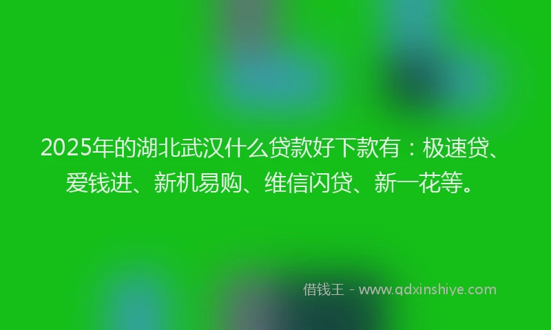 2025年的湖北武汉什么贷款好下款有：极速贷、爱钱进、新机易购、维信闪贷、新一花等。