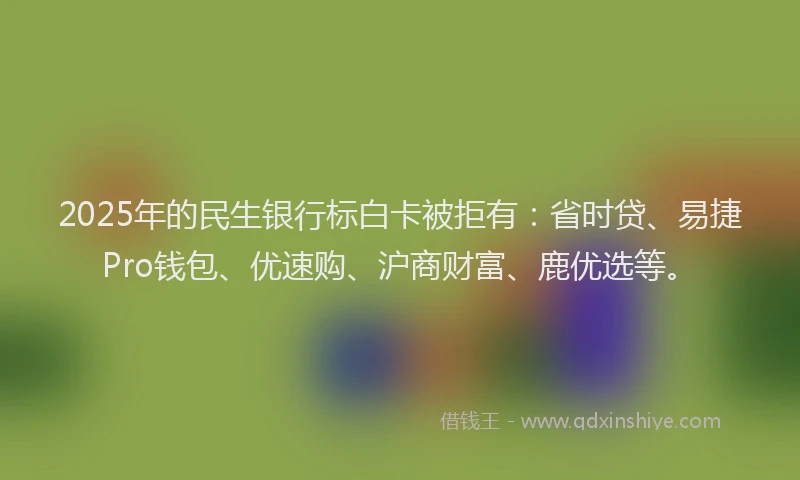 2025年的民生银行标白卡被拒有：省时贷、易捷Pro钱包、优速购、沪商财富、鹿优选等。