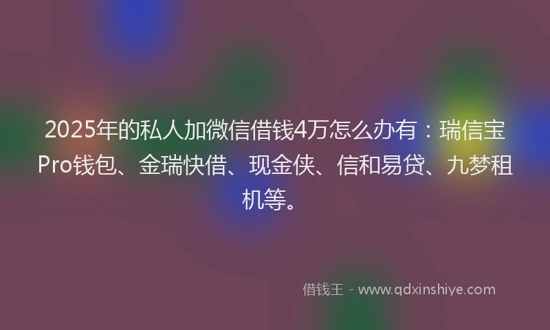 2025年的私人加微信借钱4万怎么办有：瑞信宝Pro钱包、金瑞快借、现金侠、信和易贷、九梦租机等。