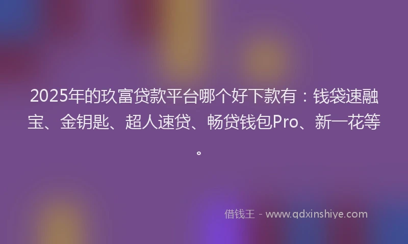 2025年的玖富贷款平台哪个好下款有：钱袋速融宝、金钥匙、超人速贷、畅贷钱包Pro、新一花等。