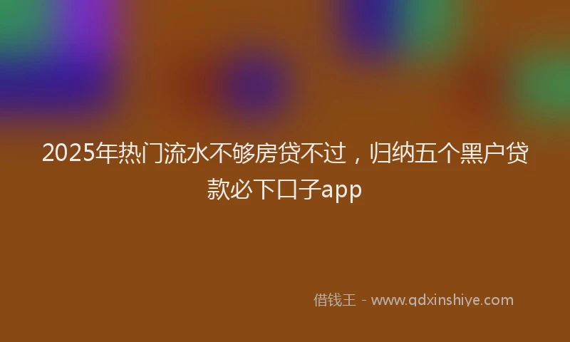 2025年热门流水不够房贷不过，归纳五个黑户贷款必下口子app