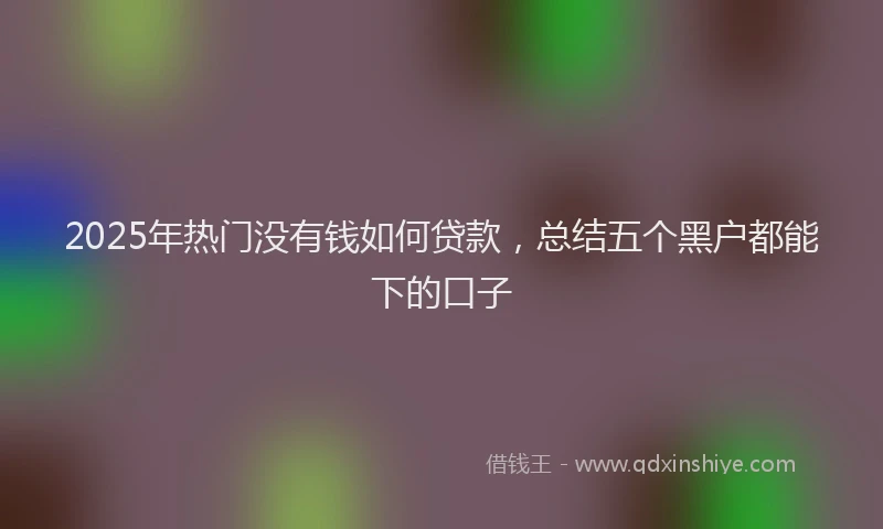2025年热门没有钱如何贷款，总结五个黑户都能下的口子