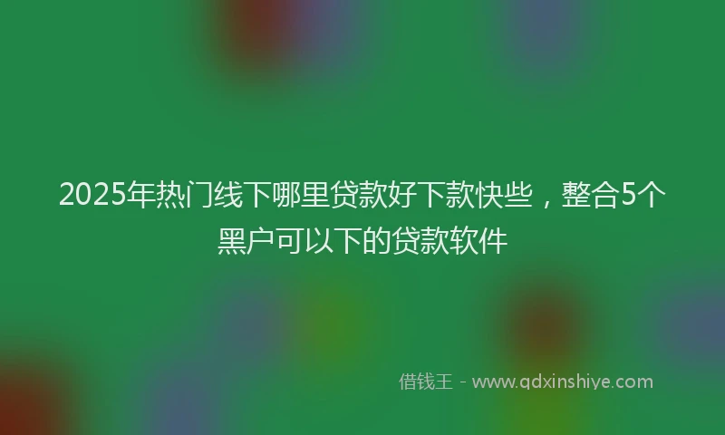 2025年热门线下哪里贷款好下款快些，整合5个黑户可以下的贷款软件