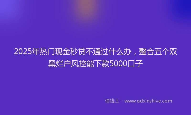 2025年热门现金秒贷不通过什么办，整合五个双黑烂户风控能下款5000口子