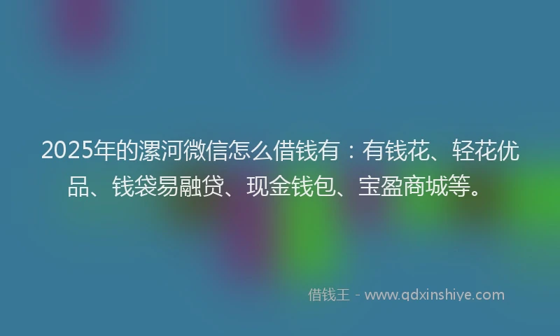 2025年的漯河微信怎么借钱有：有钱花、轻花优品、钱袋易融贷、现金钱包、宝盈商城等。