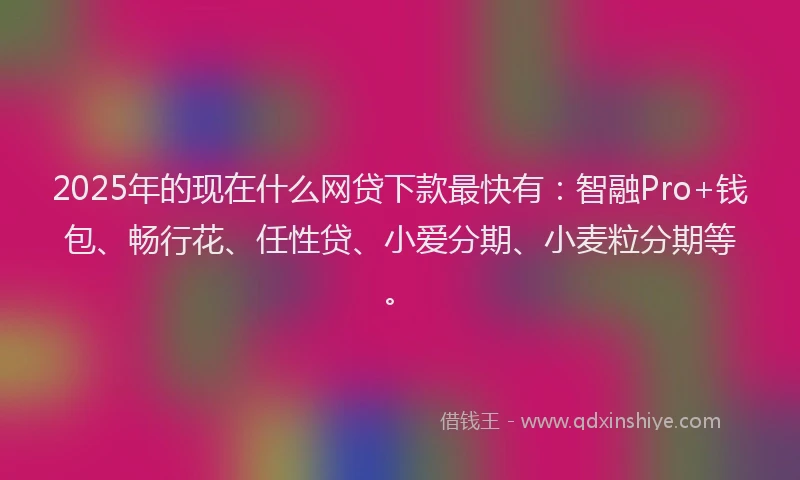 2025年的现在什么网贷下款最快有：智融Pro+钱包、畅行花、任性贷、小爱分期、小麦粒分期等。