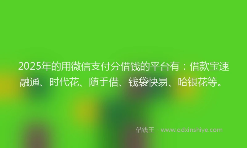 2025年的用微信支付分借钱的平台有：借款宝速融通、时代花、随手借、钱袋快易、哈银花等。