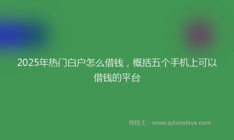2025年热门白户怎么借钱，概括五个手机上可以借钱的平台