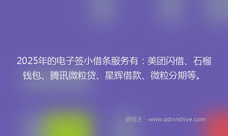 2025年的电子签小借条服务有：美团闪借、石榴钱包、腾讯微粒贷、星辉借款、微粒分期等。