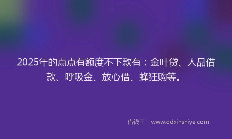 2025年的点点有额度不下款有：金叶贷、人品借款、呼吸金、放心借、蜂狂购等。