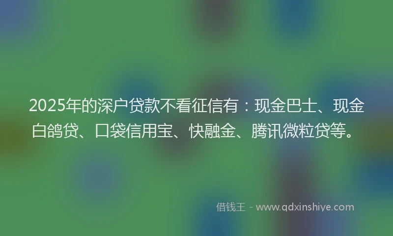 2025年的深户贷款不看征信有：现金巴士、现金白鸽贷、口袋信用宝、快融金、腾讯微粒贷等。
